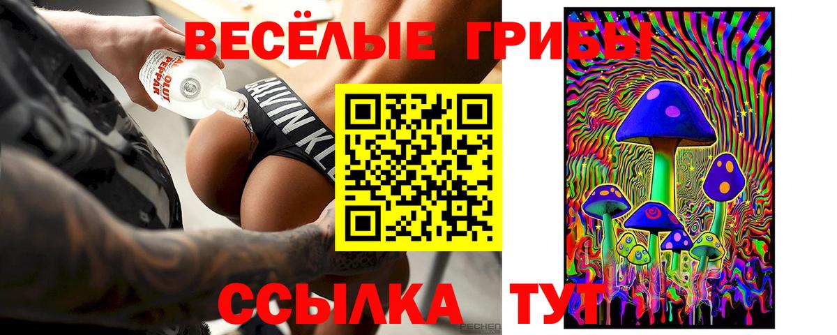 Псилоцибиновые грибы Psilocybine cubensis Калач-на-Дону
