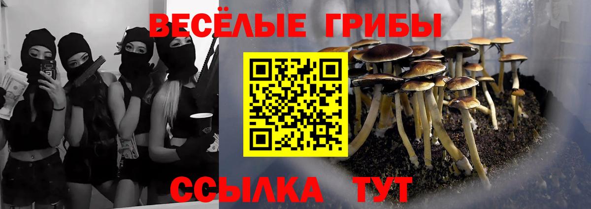 Псилоцибиновые грибы GOLDEN TEACHER  Псилоцибиновые грибы мицелий  Вход с VPN  Калач-на-Дону 